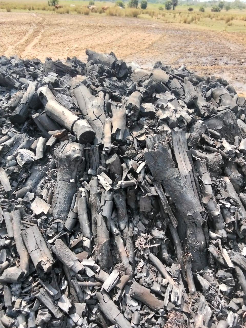 Wood charcoal logs